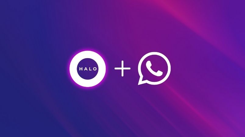 Whatsapp voice introduction to HALO